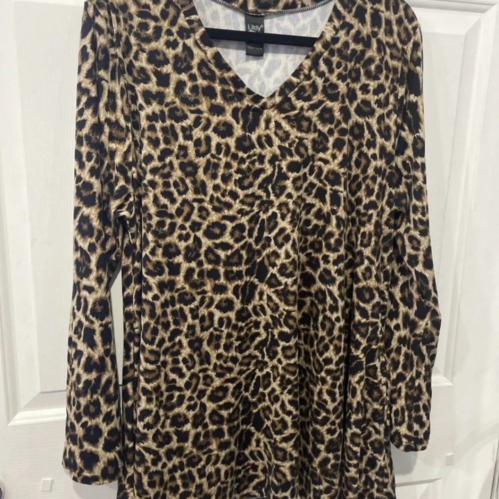 Leopard Print V-Neck Blouse